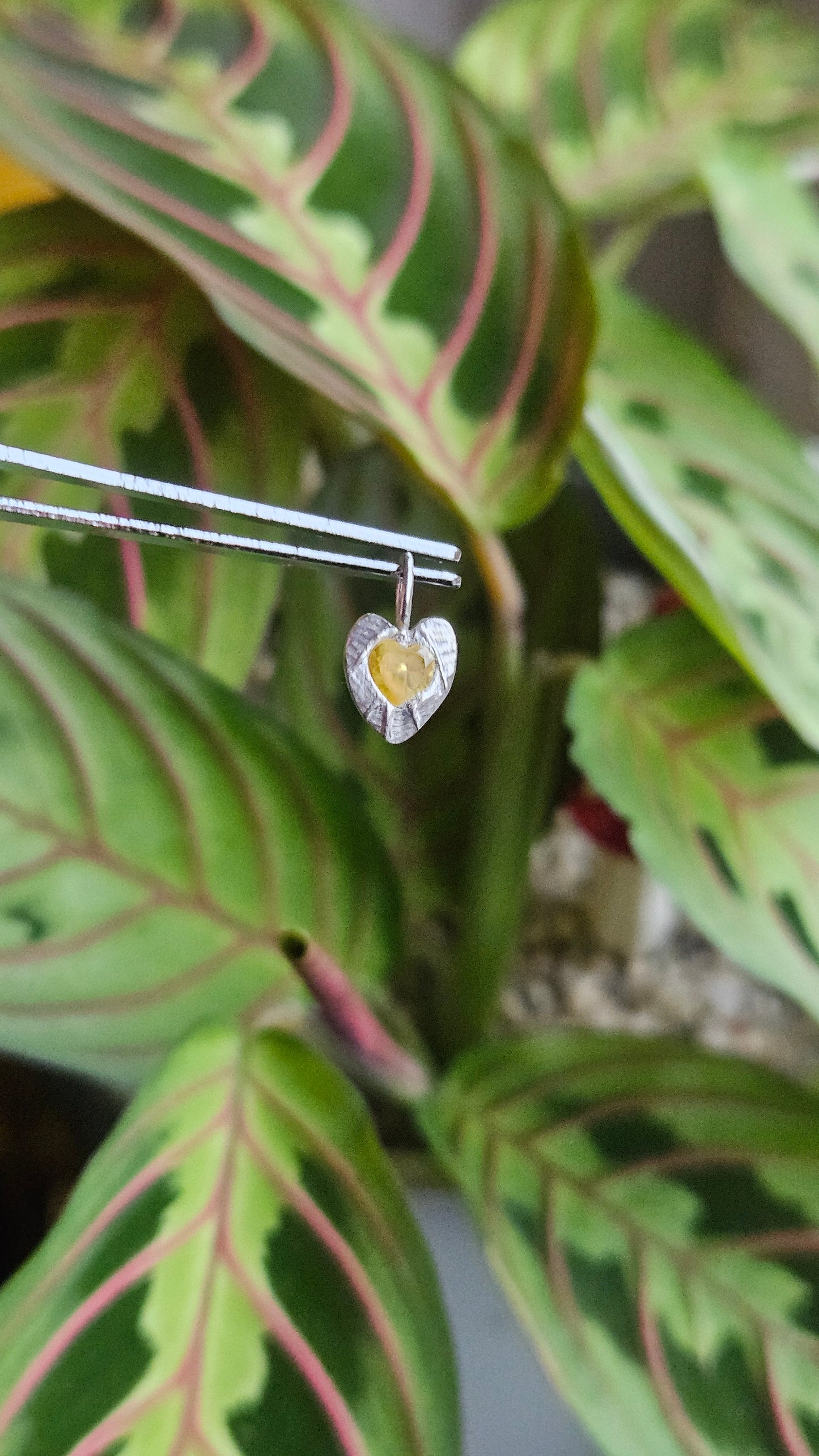 Heart of Nature Pendant